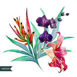 水彩繪時(shí)尚藝術(shù)花朵插畫