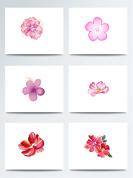 粉色花瓣免扣素材
