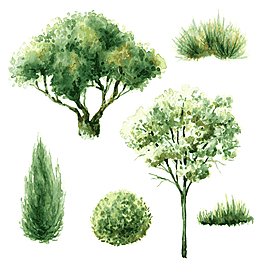 綠色水彩繪植物大樹插畫