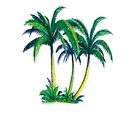 漫畫椰子樹植物png元素