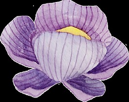 手繪一朵紙花png透明素材