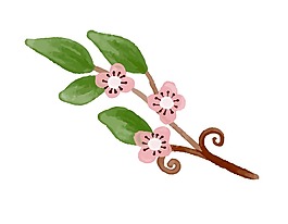 創(chuàng)意花朵裝飾png元素