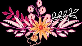 手绘线性插花png透明素材