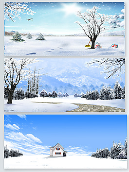 冬季大寒積雪藍天樹木