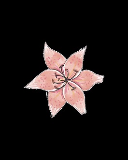 一朵標本花朵png透明素材