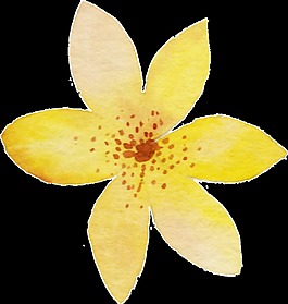 黃色水彩花朵png透明素材