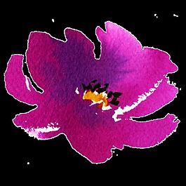 手绘晕染的花卉png透明素材