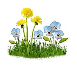 卡通黃色藍色小花綠草地插畫png元素