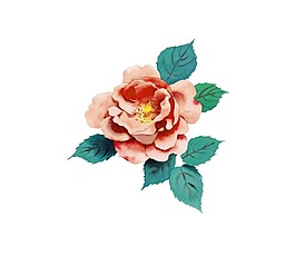彩绘粉色牡丹插画png元素