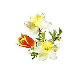 白色玉蘭花png元素