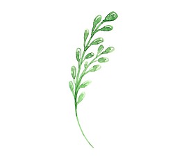 彩繪綠枝樹(shù)葉png元素