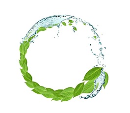 清新綠葉水環(huán)png元素