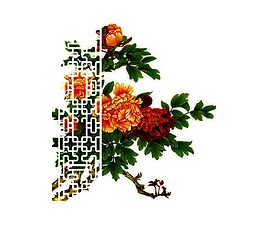 牡丹插畫png元素