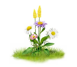 小鄒菊草地卡通png元素