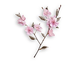 彩繪桃花png元素