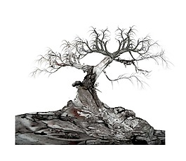 枯樹(shù)卡通png元素