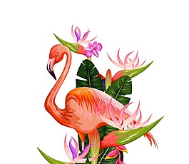 卡通火鳥插畫png元素