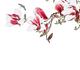 中式玉蘭花png元素