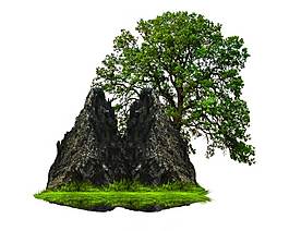 大樹和小山png元素