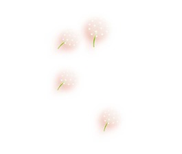 卡通飛舞蒲公英png元素