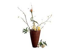 卡通鮮花盆栽png元素