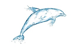 科技水波海豚png元素