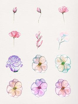 水彩精美花卉透明素材合集