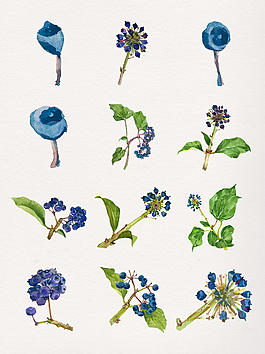 水彩藍(lán)色鮮花透明素材合集