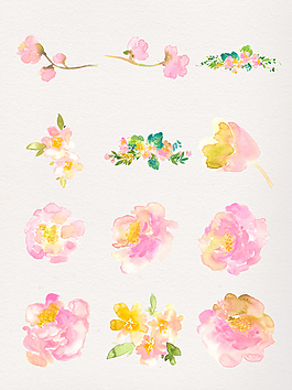 水彩粉色鮮花透明素材合集