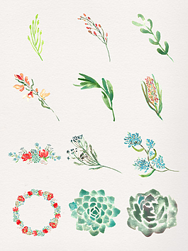 水彩多肉透明素材合集