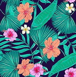 時尚彩色熱帶植物插畫
