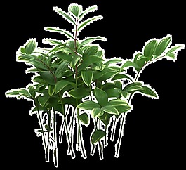 一堆綠色的花枝透明植物素材