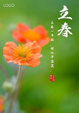 精美花卉立春節(jié)氣海報(bào)