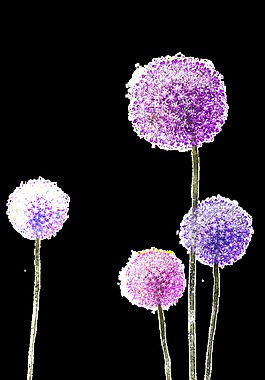 水彩紫色蒲公英透明素材