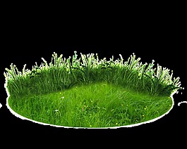 逼真綠色草地透明素材