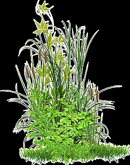 手繪逼真綠色植物透明素材