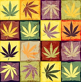 楓葉葉子ai矢量素材下載