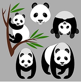 熊猫动物ai矢量素材下载