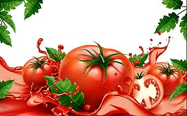 西紅柿蔬菜ai矢量素材下載