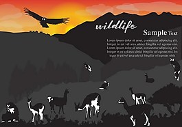 戶外野生動物ai矢量素材
