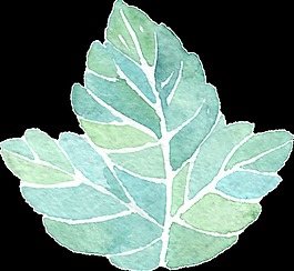 一片水彩樹葉透明素材