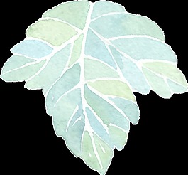 手繪一片樹葉透明素材