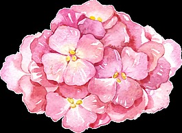 手繪紅花拼接花束透明素材