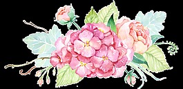 手繪花草拼接花束透明素材