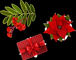 節(jié)日用紅色物品花朵透明素材