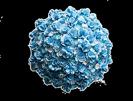 花朵拼接圓球透明素材