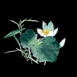 工筆畫荷花透明裝飾素材