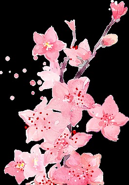水彩畫梅花透明裝飾素材
