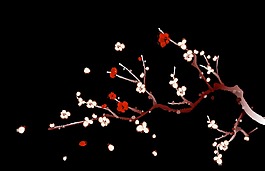 小清新梅花透明装饰素材