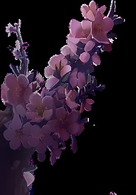 工筆畫梅花透明裝飾素材